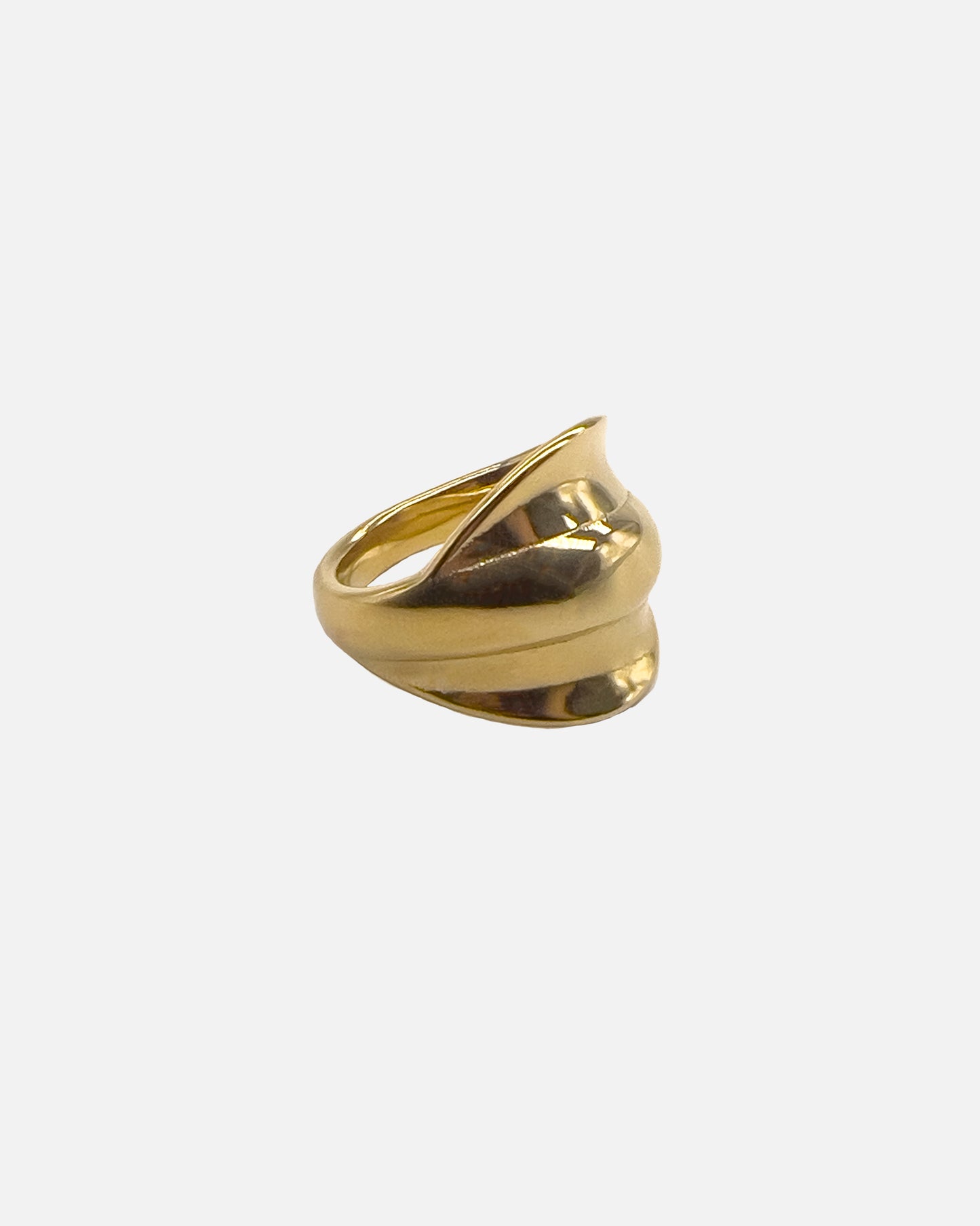 Anillo Wave
